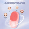 Electric Facial Cleansing Brush - ITurn Heads